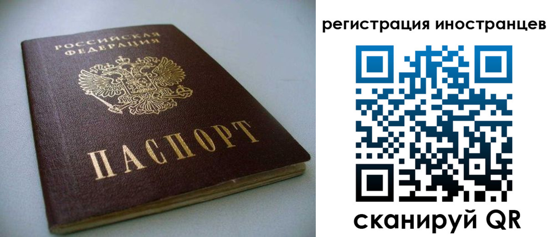 пропишу в квартире в Волгоградской области